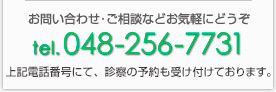 電話048-256-7731